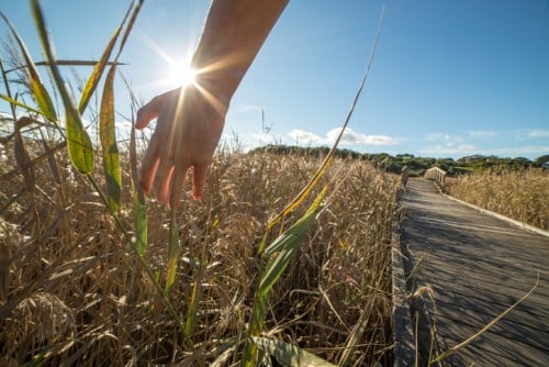 World Bank arm and reinsurer to jointly develop index-based insurance for farmers